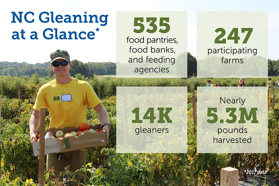 Gleaning Stats