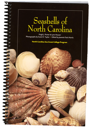 Seashells book2