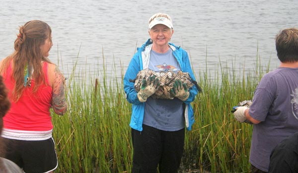 Phoebe Hood, a retired nurse practitioner in Hampstead, carries shells for a PenderWatch reef.