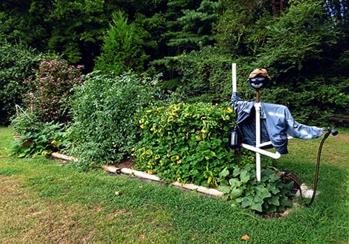 Great-Gardens-NC-scarecrow