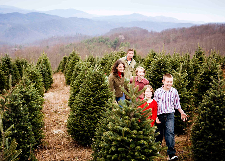 Family at Christmas Tree Farm