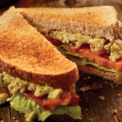 Bacon avocado sandwich tn