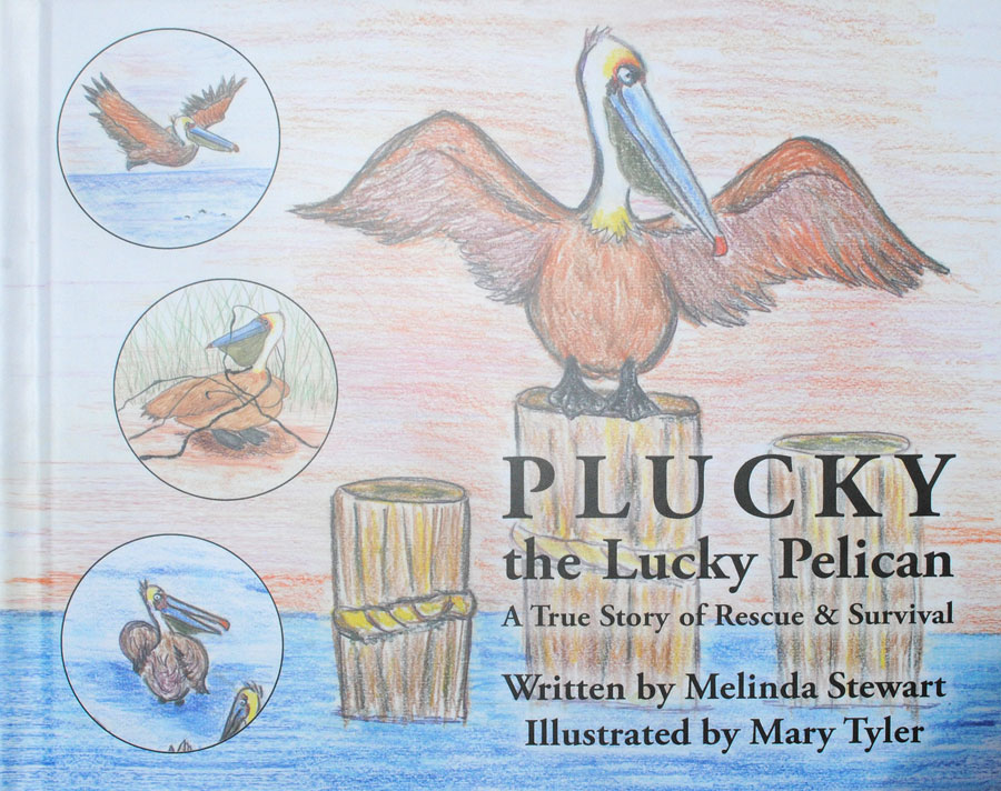plucky the book