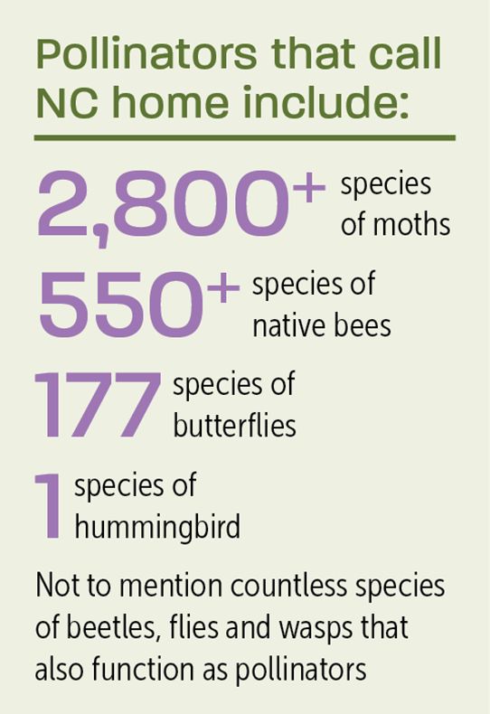 Pollinator Stats