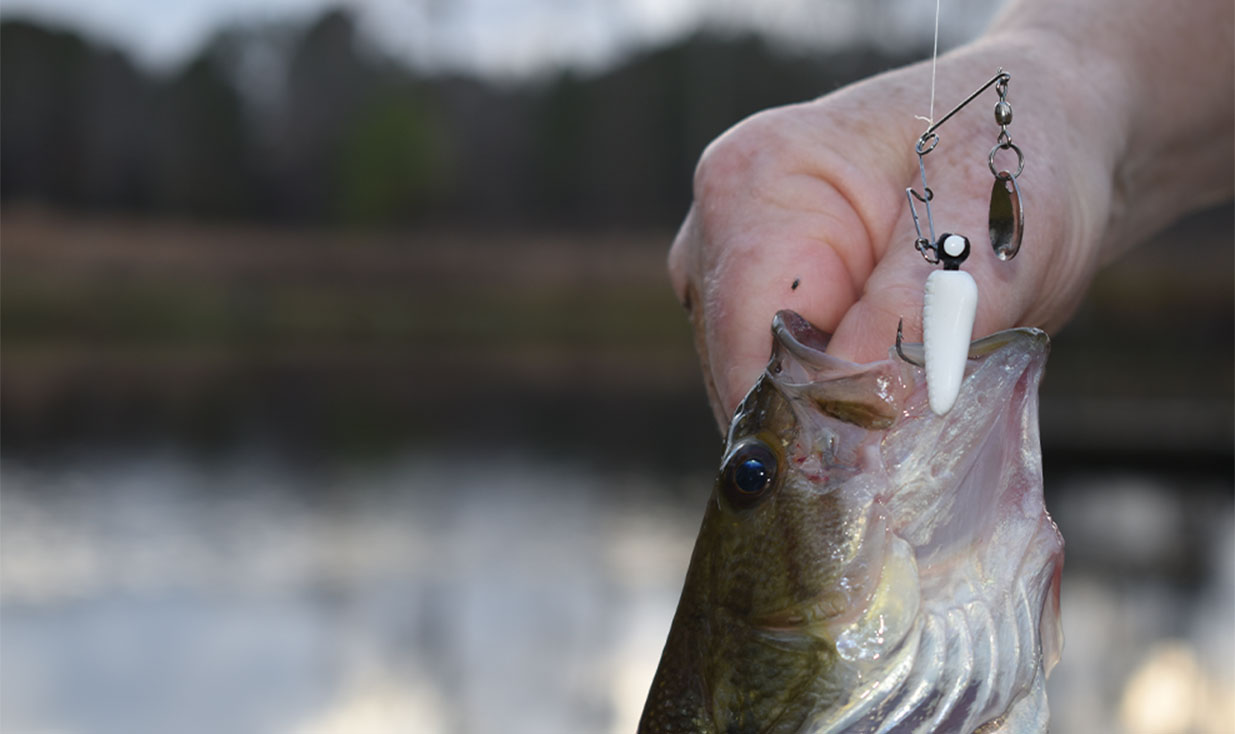 Small Lures Can Land a Big Catch - Carolina Country