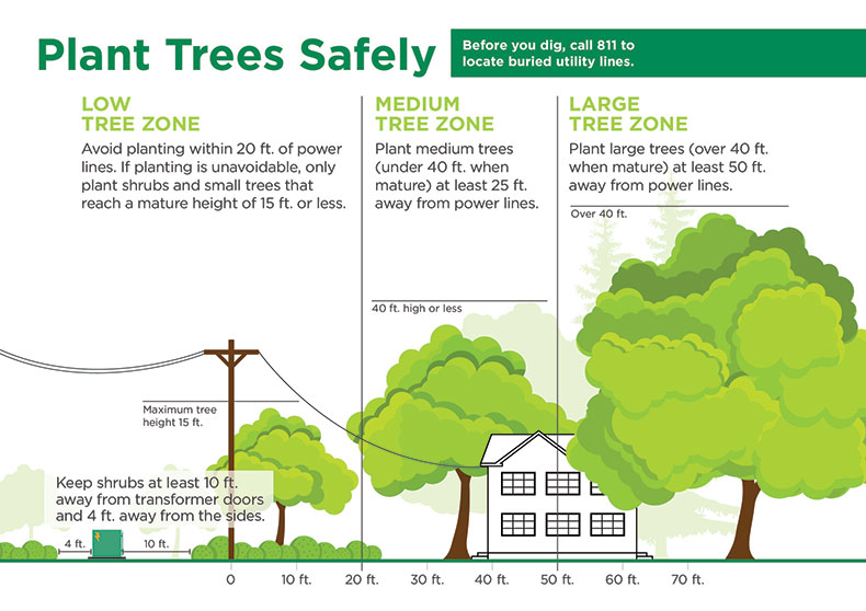 2022 03 DS SAFETY TreePlantingChart Half Page