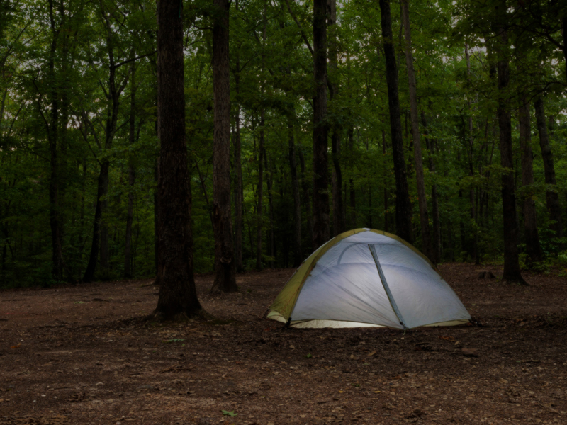 Camping dark forest