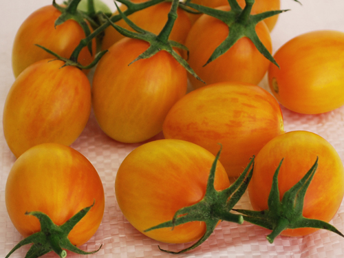 Sunset Torch Tomatoes