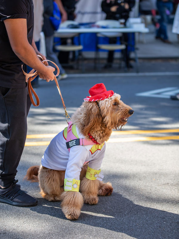 Liver Mush Fest Dog in Costumer