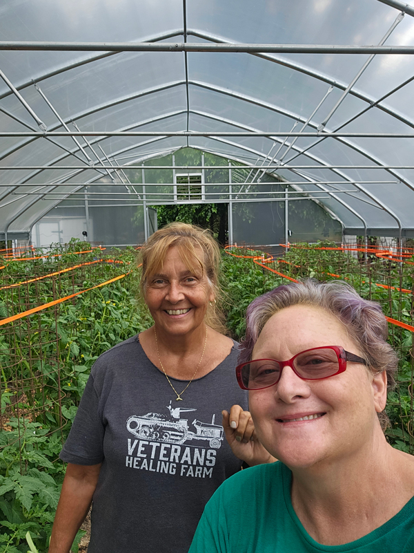 Tomato team on the Veterans Healing Farm