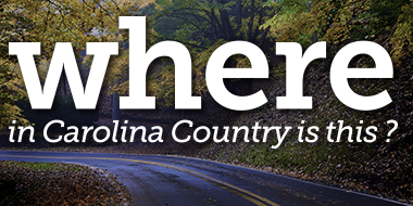 new where in NC web banner