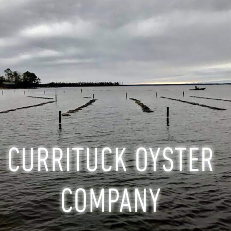 currituck oyster co