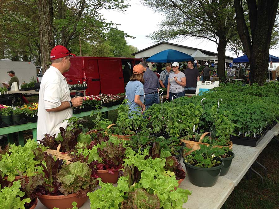 Spring herb festivals help kick off gardening season Carolina Country