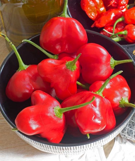 Stay Cool With Sweet Peppers
