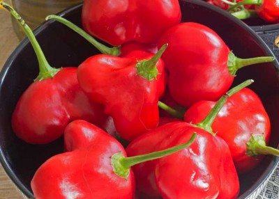 Stay Cool With Sweet Peppers