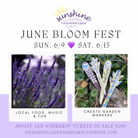 June Bloom Lavender Festival on the Farm