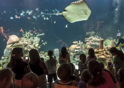 New aquarium in Greensboro