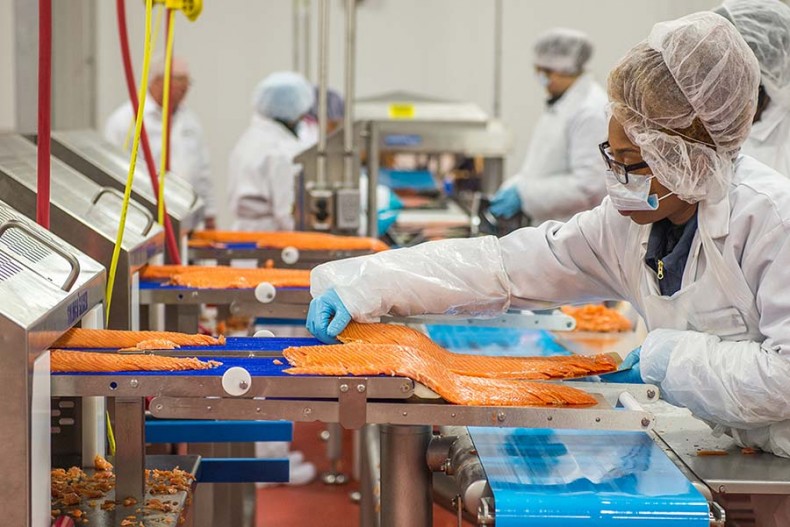 Four County Electric helps fish processing plant expand