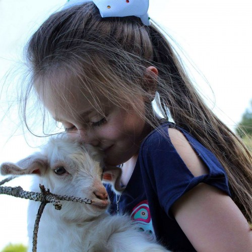Six-year-old Angel loves her baby goat Tinkerbell. We raise Angora and Nigora goats and the tiny Nigoras are Angel's favorites! —Brandy Smith, Vale, A member of Rutherford EMC