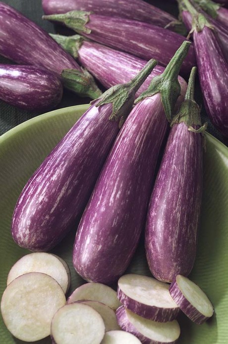 The Incredible, Edible, Ornamental Eggplant