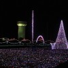 See Some Lights (and Ride a Camel) at the Speedway Christmas 