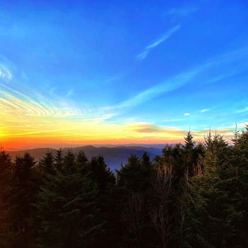 This picture was taken at Mt. Mitchell at sunset. My fingers were red from holding my camera still. My toes were frozen. Then the scene in this picture showed through my lens and I forgot all about being cold. —Chastity Howell, Marion