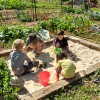 10 Steps to Starting a Community Garden