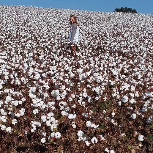 My Granddaughter Briley running up through the gorgeous cotton fields in northern Iredell County. —Debbie Reavis, Statesville, EnergyUnited