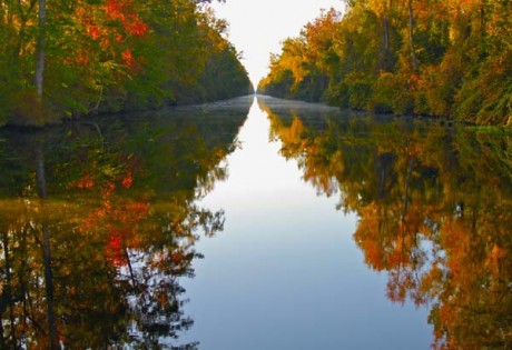 The historic Dismal Swamp Canal in its autumn splendor.