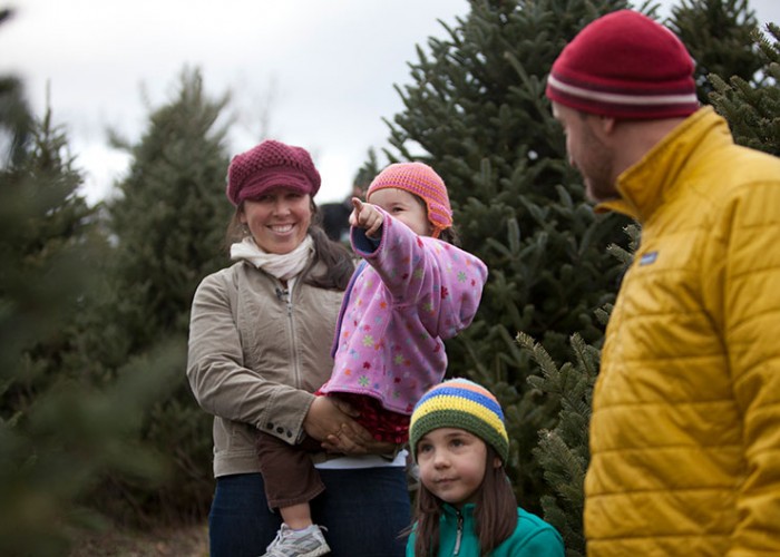 Fraser Firs: North Carolina’s Christmas Gift to the Nation