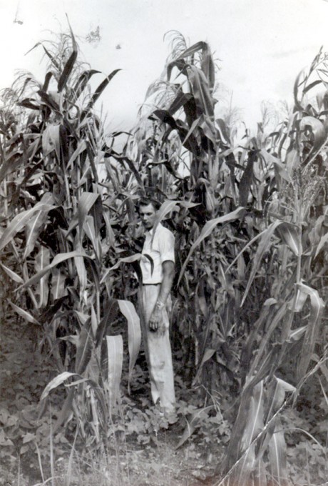 Tall Man, Taller Corn