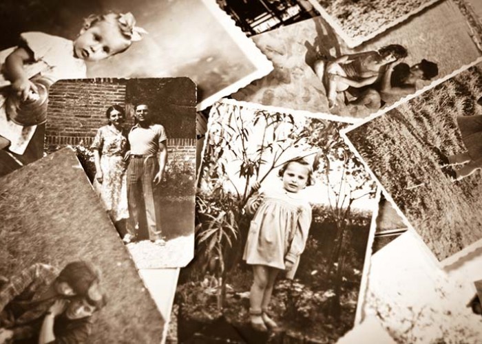 Exploring the Roots of Your Family Tree