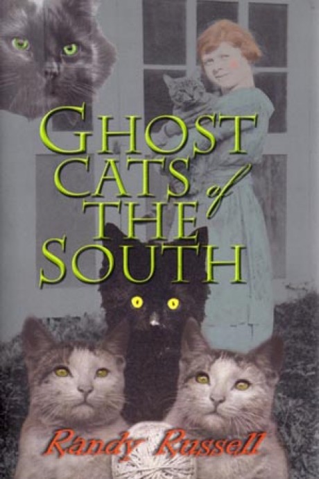 Ghost Cats  of the South