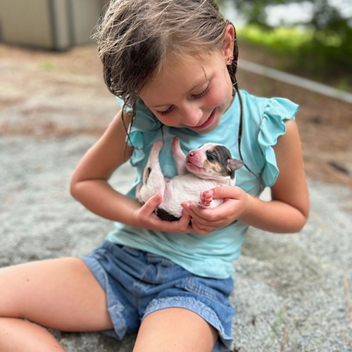 “My granddaughter holds one of her dad's new puppies born this summer from a litter of 7. She's a country girl. She loves her puppies, chickens, rabbits and a more. Her mother (my daughter) took the photo.” —James Currin, Spring Lake, South River EMC 