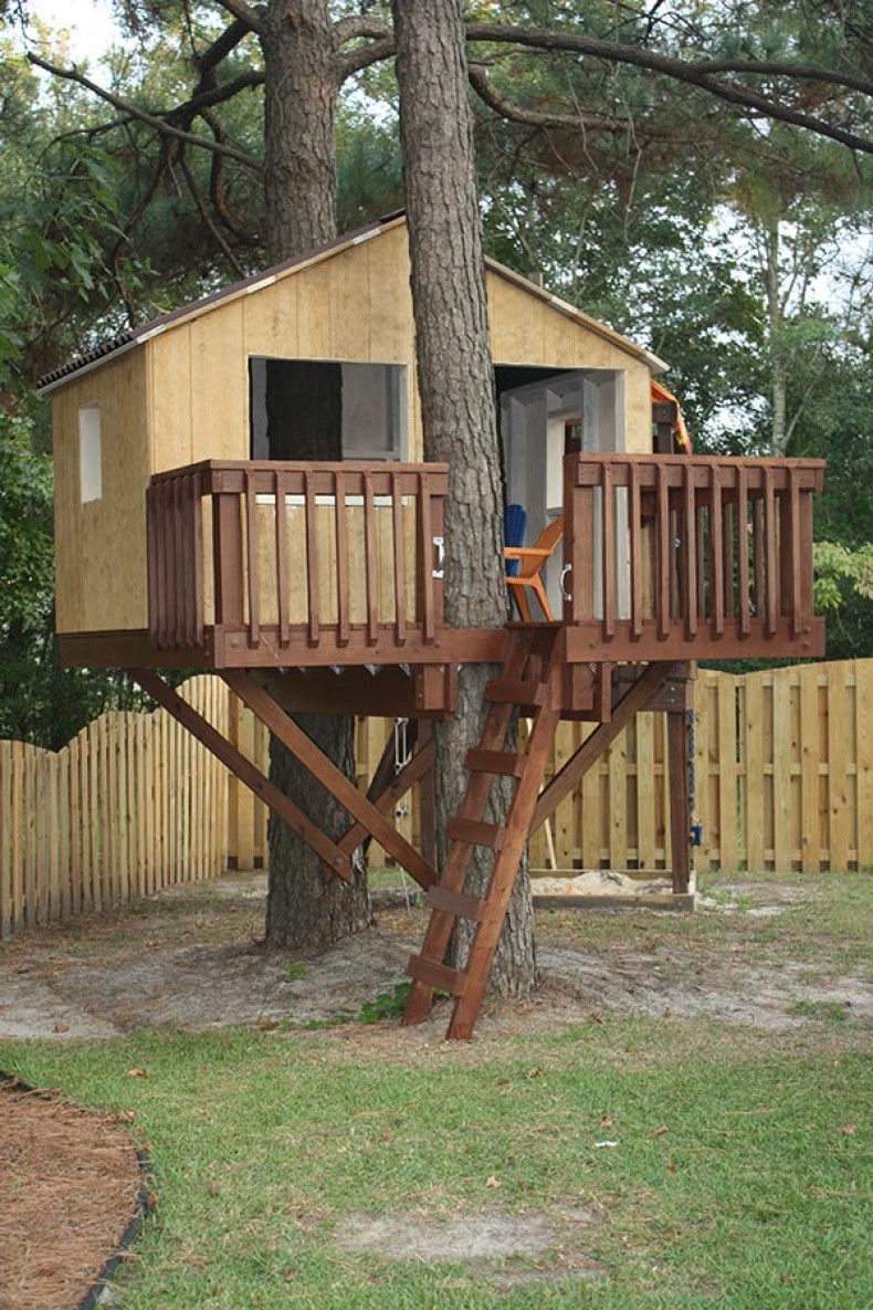 Two trees = one great treehouse