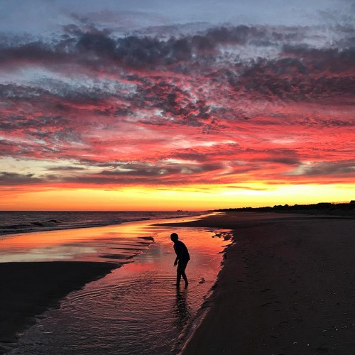 My son, Levi, plays in a tide pool on Bald Head Island at sunset, our favorite vacation spot. This secluded island can only be accessed by ferry. Leave your car and your worries behind, and only adventure ahead of you! —Jean-Marie Odom, Louisburg