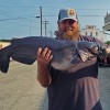 Local Pond Yields Record Channel Catfish