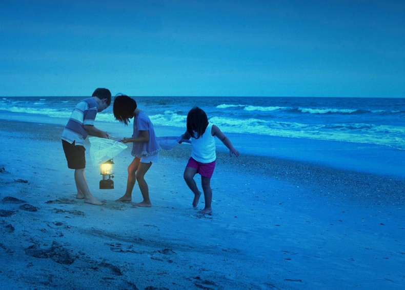 Do You Know...how to find ghost crabs?