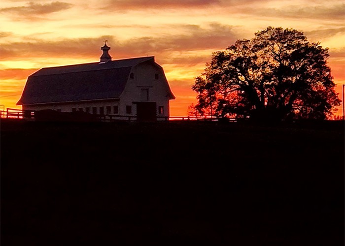 “The sky lights up behind Quail Roost Horse Farm in Rougemont at sunset.” —Kimberly Capalbo, Bahama, Piedmont Electric