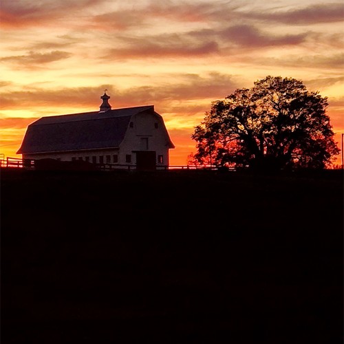 “The sky lights up behind Quail Roost Horse Farm in Rougemont at sunset.” —Kimberly Capalbo, Bahama, Piedmont Electric