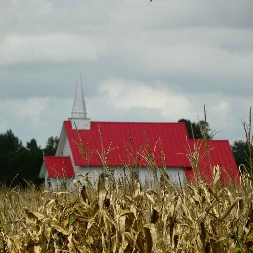 Carolina country, my home. Where farmers are my neighbors and the church is the center of our social life. The quiet of an autumn evening as the breeze rustles through the dried cornstalks. —Marianna Jackson, Pinetown, Tri-County EMC