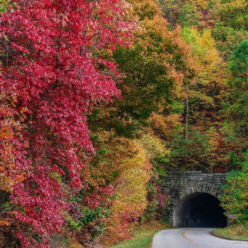 Just after Milepost 400 on the Blue Ridge Parkway, the Ferrin Knob Tunnels begin. This is the first of the three surrounded by peak fall foliage color. —Michelle Greenleaf, Lake Lure, A member of Rutherford EMC 