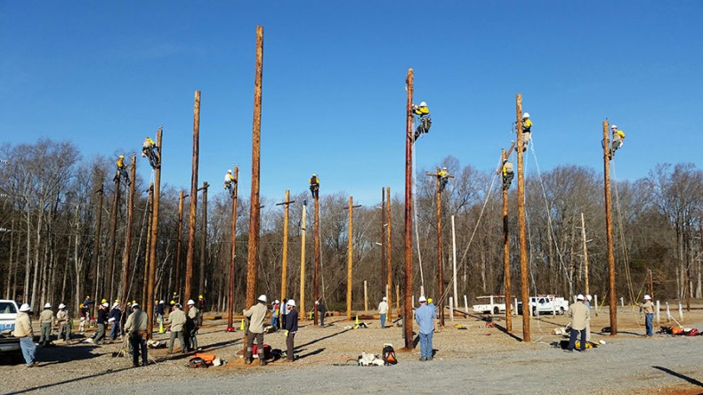 Co-op Lineworkers Continue to Hone Skills at Nash Community College