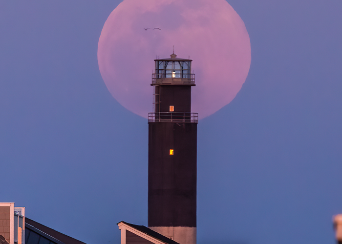 I have tried for years to photograph the moon rising by the Oak Island Lighthouse. Clouds, rain, family emergencies…but I finally got it. The Pink Full Moon even!—Nick Noble, Southport, Brunswick Electric
