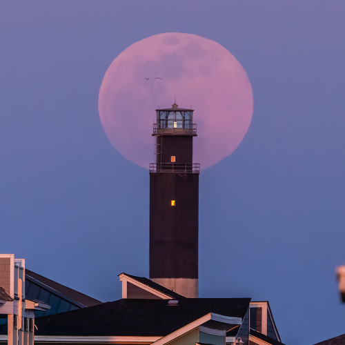 I have tried for years to photograph the moon rising by the Oak Island Lighthouse. Clouds, rain, family emergencies…but I finally got it. The Pink Full Moon even!—Nick Noble, Southport, Brunswick Electric