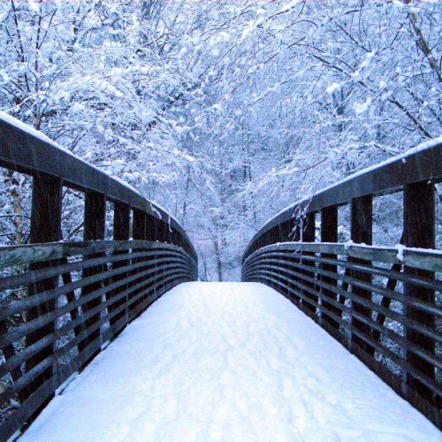 My husband and I were out enjoying the snow on the Catawba River Greenway in Burke County. As we walked up to the wooden bridge that crosses the river, it looked like we were walking into a winter wonderland. —Nicole Kinard, Morganton, Rutherford EMC
