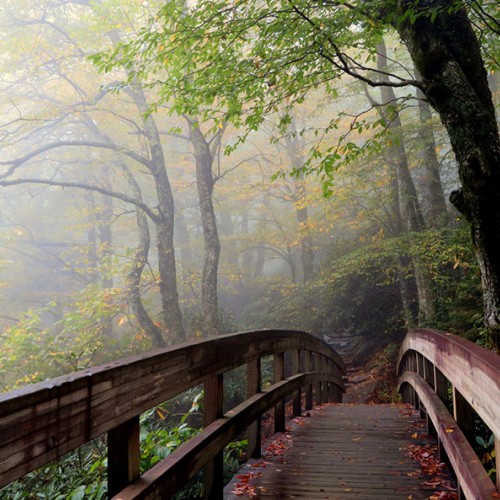 This wooden bridge at Rough Ridge Overlook near Grandfather Mountain on the Blue Ridge Parkway, Milepost 302.8, marks the beginning of a trail where spectacular mountain views unfold. —Patricia Joynes, Boone, Blue Ridge Energy