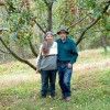 Find Fall Apples off the Beaten Path