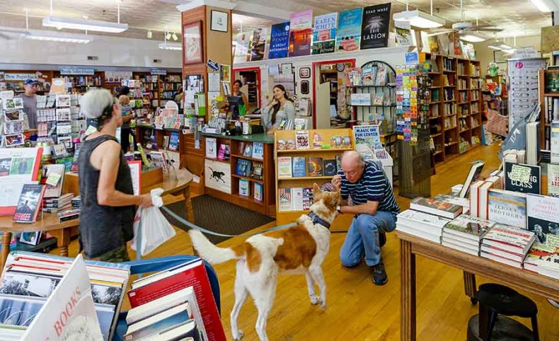 Independent Bookstores Thrive Throughout the State