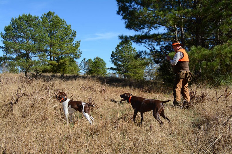 Hunting Preserves Offer a Safe, Accessible Experience